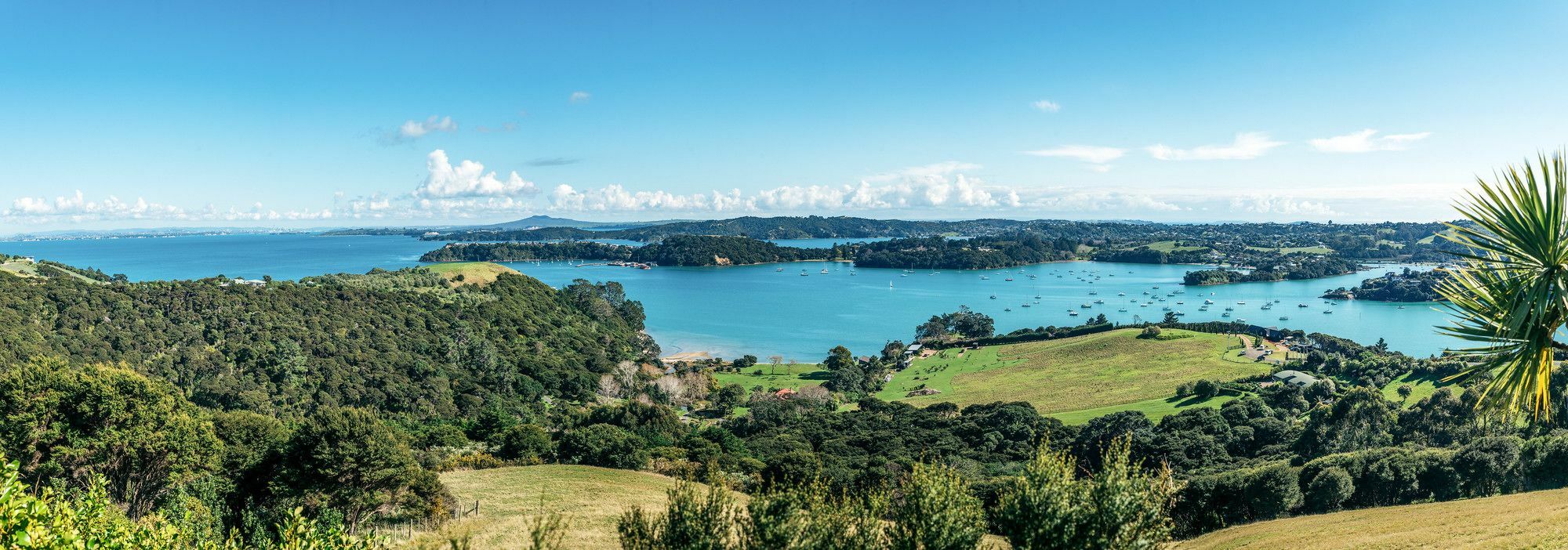 Te Whau Lodge Omiha Buitenkant foto