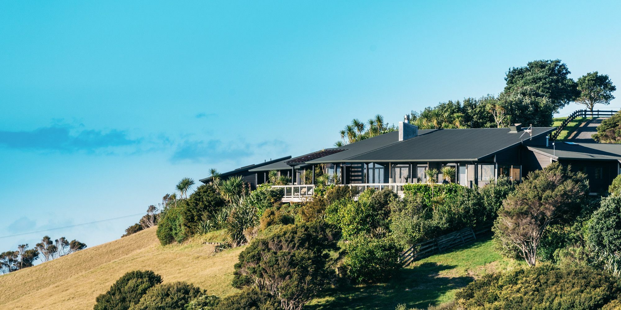 Te Whau Lodge Omiha Buitenkant foto